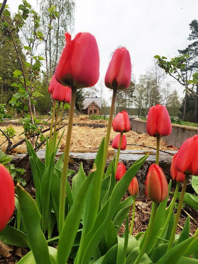 Garpenbergs B&B, Bnb Екстериор снимка